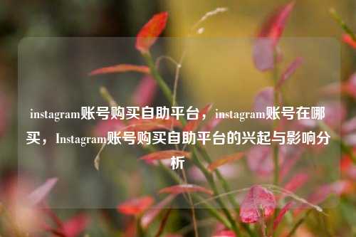 instagram账号购买自助平台，instagram账号在哪买，Instagram账号购买自助平台的兴起与影响分析