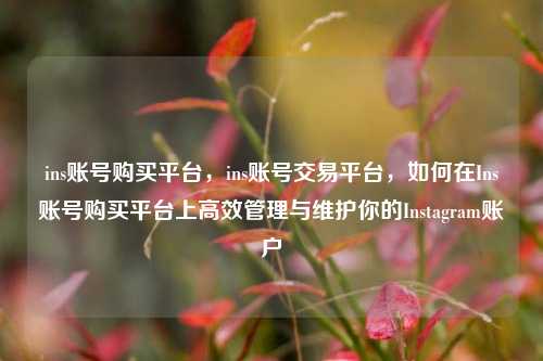 ins账号购买平台，ins账号交易平台，如何在Ins账号购买平台上高效管理与维护你的Instagram账户