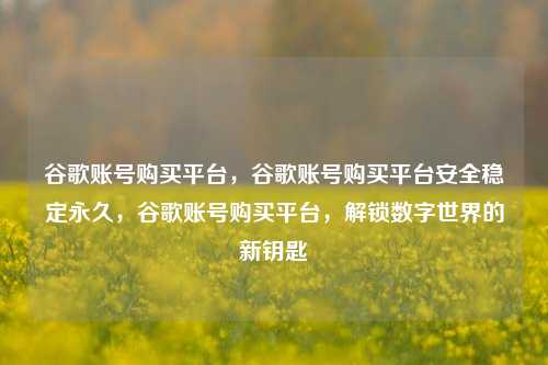谷歌账号购买平台，谷歌账号购买平台安全稳定永久，谷歌账号购买平台，解锁数字世界的新钥匙