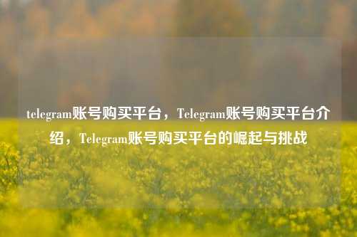 telegram账号购买平台，Telegram账号购买平台介绍，Telegram账号购买平台的崛起与挑战