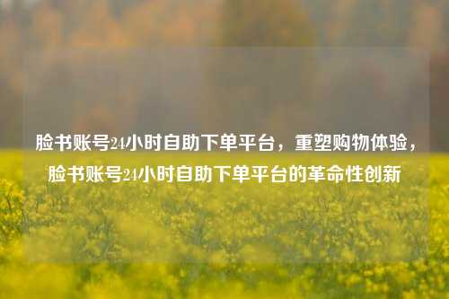 脸书账号24小时自助下单平台，重塑购物体验，脸书账号24小时自助下单平台的革命性创新