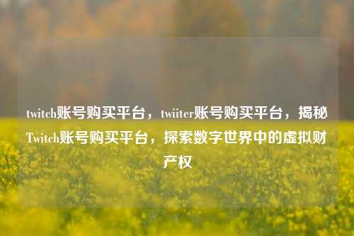 twitch账号购买平台，twiiter账号购买平台，揭秘Twitch账号购买平台，探索数字世界中的虚拟财产权