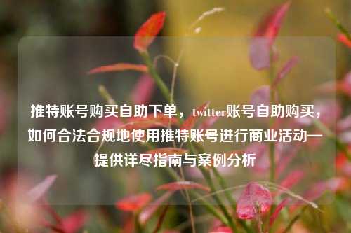 推特账号购买自助下单，twitter账号自助购买，如何合法合规地使用推特账号进行商业活动—提供详尽指南与案例分析