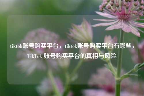 tiktok账号购买平台，tiktok账号购买平台有哪些，TikTok 账号购买平台的真相与风险