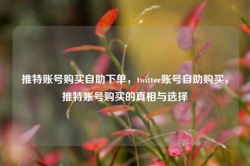 推特账号购买自助下单，twitter账号自助购买，推特账号购买的真相与选择  第1张