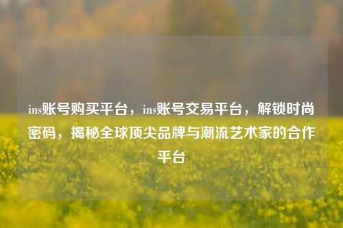 ins账号购买平台，ins账号交易平台，解锁时尚密码，揭秘全球顶尖品牌与潮流艺术家的合作平台