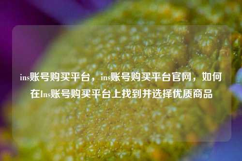 ins账号购买平台，ins账号购买平台官网，如何在Ins账号购买平台上找到并选择优质商品