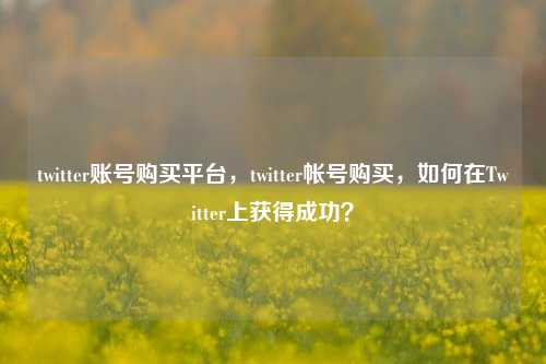 twitter账号购买平台，twitter帐号购买，如何在Twitter上获得成功？