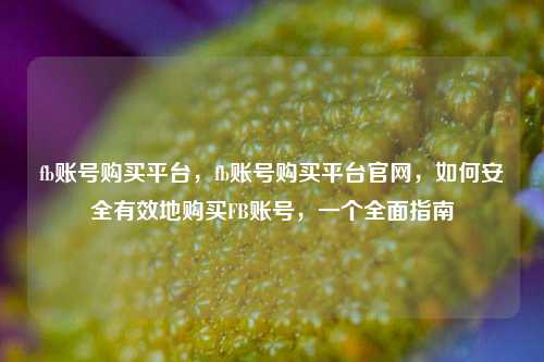 fb账号购买平台，fb账号购买平台官网，如何安全有效地购买FB账号，一个全面指南