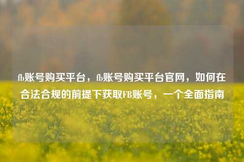 fb账号购买平台，fb账号购买平台官网，如何在合法合规的前提下获取FB账号，一个全面指南