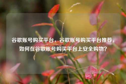 谷歌账号购买平台，谷歌账号购买平台推荐，如何在谷歌账号购买平台上安全购物？