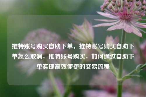 推特账号购买自助下单，推特账号购买自助下单怎么取消，推特账号购买，如何通过自助下单实现高效便捷的交易流程