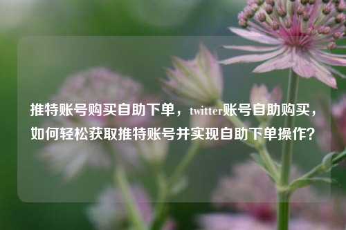 推特账号购买自助下单，twitter账号自助购买，如何轻松获取推特账号并实现自助下单操作？