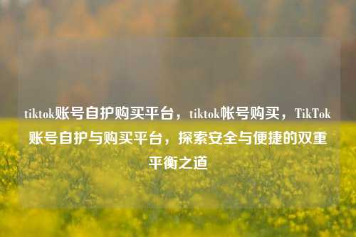 tiktok账号自护购买平台，tiktok帐号购买，TikTok账号自护与购买平台，探索安全与便捷的双重平衡之道