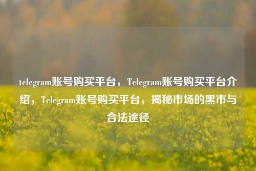 telegram账号购买平台，Telegram账号购买平台介绍，Telegram账号购买平台，揭秘市场的黑市与合法途径