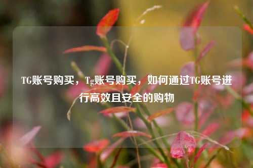 TG账号购买，Tg账号购买，如何通过TG账号进行高效且安全的购物