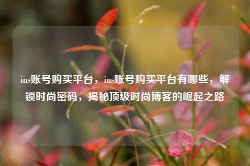 ins账号购买平台，ins账号购买平台有哪些，解锁时尚密码，揭秘顶级时尚博客的崛起之路