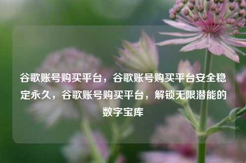 谷歌账号购买平台，谷歌账号购买平台安全稳定永久	，谷歌账号购买平台，解锁无限潜能的数字宝库  第1张