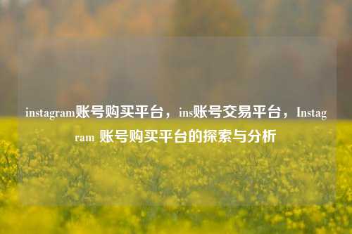 instagram账号购买平台，ins账号交易平台，Instagram 账号购买平台的探索与分析