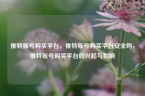 推特账号购买平台，推特账号购买平台安全吗，推特账号购买平台的兴起与影响  第1张