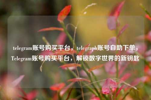 telegram账号购买平台，telegraph账号自助下单，Telegram账号购买平台，解锁数字世界的新钥匙