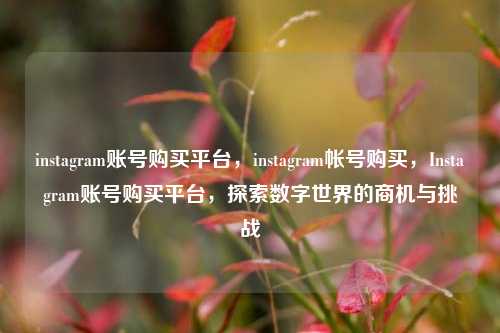 instagram账号购买平台，instagram帐号购买，Instagram账号购买平台	，探索数字世界的商机与挑战  第1张