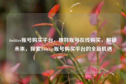 twitter账号购买平台，推特账号在线购买，解锁未来，探索Twitter账号购买平台的全新机遇