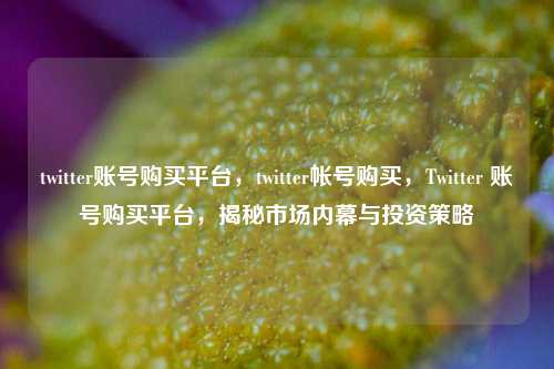 twitter账号购买平台，twitter帐号购买，Twitter 账号购买平台，揭秘市场内幕与投资策略