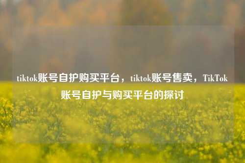 tiktok账号自护购买平台，tiktok账号售卖，TikTok账号自护与购买平台的探讨