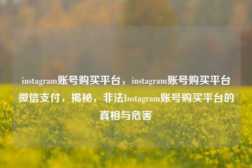 instagram账号购买平台，instagram账号购买平台微信支付，揭秘，非法Instagram账号购买平台的真相与危害