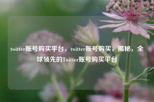 twitter账号购买平台，twitter帐号购买，揭秘，全球领先的Twitter账号购买平台