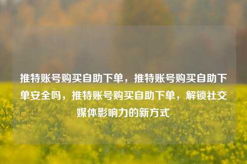 推特账号购买自助下单，推特账号购买自助下单安全吗，推特账号购买自助下单，解锁社交媒体影响力的新方式