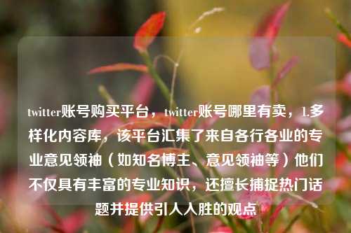 twitter账号购买平台，twitter账号哪里有卖，1.多样化内容库，该平台汇集了来自各行各业的专业意见领袖（如知名博主、意见领袖等）他们不仅具有丰富的专业知识，还擅长捕捉热门话题并提供引人入胜的观点