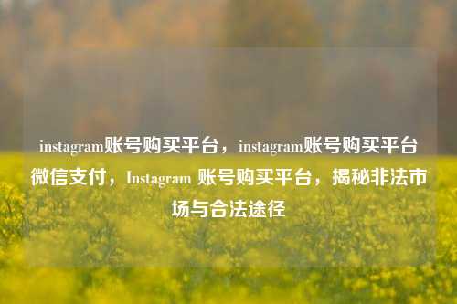 instagram账号购买平台，instagram账号购买平台微信支付，Instagram 账号购买平台，揭秘非法市场与合法途径