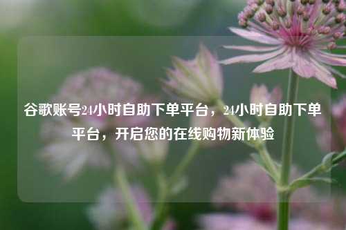 谷歌账号24小时自助下单平台，24小时自助下单平台，开启您的在线购物新体验