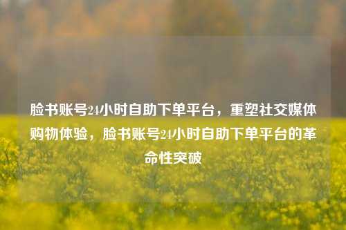 脸书账号24小时自助下单平台，重塑社交媒体购物体验，脸书账号24小时自助下单平台的革命性突破