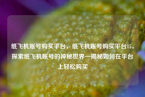 纸飞机账号购买平台，纸飞机账号购买平台15，探索纸飞机账号的神秘世界—揭秘如何在平台上轻松购买