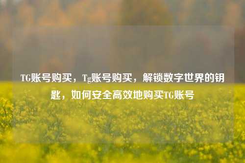 TG账号购买，Tg账号购买，解锁数字世界的钥匙，如何安全高效地购买TG账号