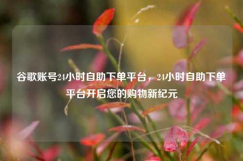 谷歌账号24小时自助下单平台，24小时自助下单平台开启您的购物新纪元
