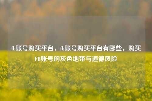 fb账号购买平台，fb账号购买平台有哪些，购买FB账号的灰色地带与道德风险