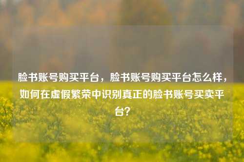 脸书账号购买平台，脸书账号购买平台怎么样，如何在虚假繁荣中识别真正的脸书账号买卖平台？