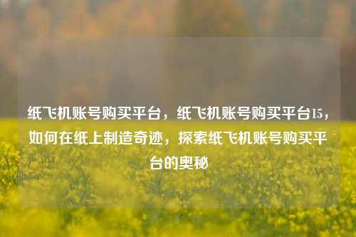 纸飞机账号购买平台，纸飞机账号购买平台15，如何在纸上制造奇迹，探索纸飞机账号购买平台的奥秘