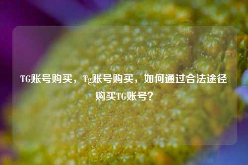 TG账号购买，Tg账号购买，如何通过合法途径购买TG账号？