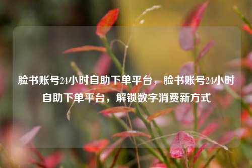 脸书账号24小时自助下单平台，脸书账号24小时自助下单平台，解锁数字消费新方式