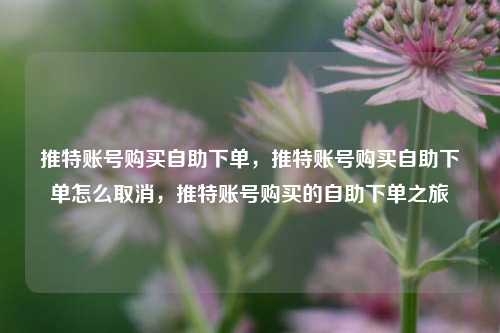 推特账号购买自助下单，推特账号购买自助下单怎么取消，推特账号购买的自助下单之旅