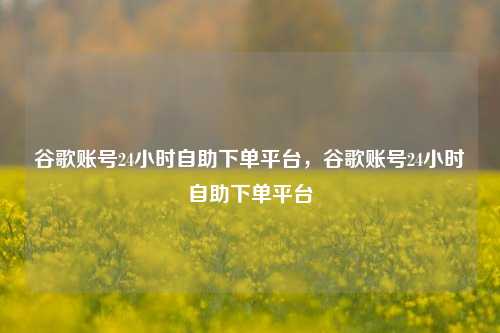 谷歌账号24小时自助下单平台，谷歌账号24小时自助下单平台