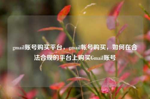 gmail账号购买平台，gmail帐号购买，如何在合法合规的平台上购买Gmail账号