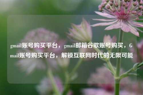 gmail账号购买平台	，gmail邮箱谷歌账号购买，Gmail账号购买平台，解锁互联网时代的无限可能  第1张