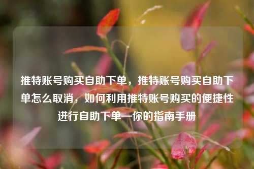 推特账号购买自助下单，推特账号购买自助下单怎么取消，如何利用推特账号购买的便捷性进行自助下单—你的指南手册