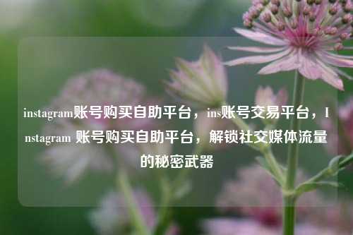 instagram账号购买自助平台，ins账号交易平台，Instagram 账号购买自助平台，解锁社交媒体流量的秘密武器